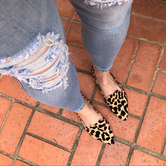 Shoes - 🆕 Bianca Leopard Pointy Toe Flat